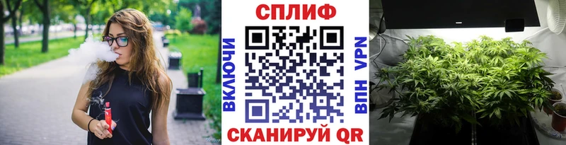 Наркотические вещества Гусев Конопля COCAIN A PVP МЕТАМФЕТАМИН Меф