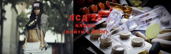 спайс Верея