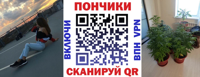 где можно купить   даркнет формула  Каннабис AK-47  Гусев 